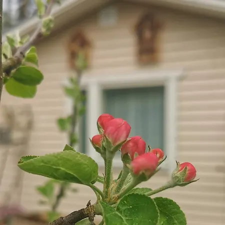 With Sauna Lejlighed