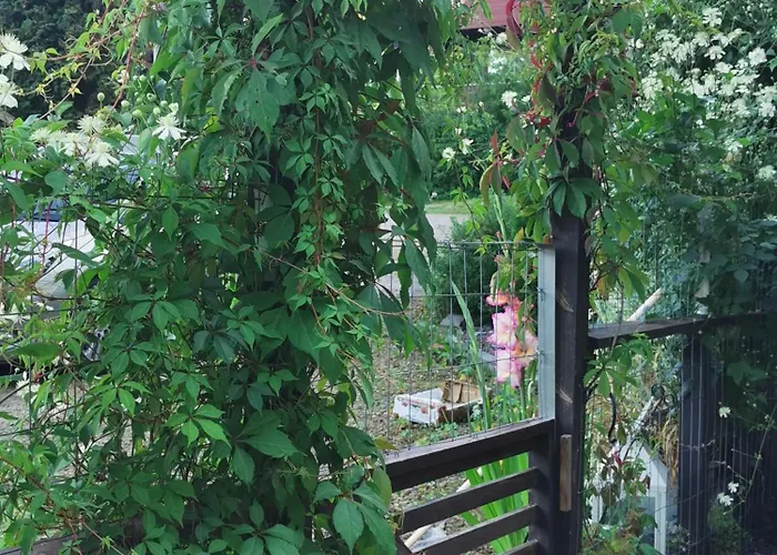 公寓 With Sauna 拉赫蒂